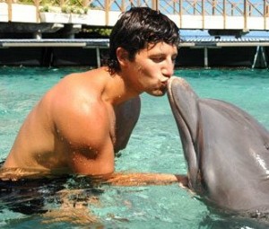 pierreDolphin